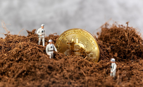 IPFS、NEAR、波卡、NFT四大热点，谁能接棒DeFi，成为下一个投资风口？