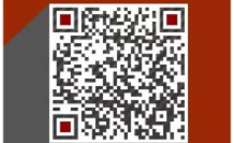 BOSS 多元化数字资产生态应用落地 七大商业应用为数字经济发展提供能量