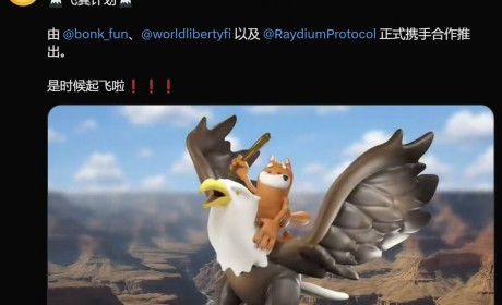 热门Meme项目BONK.fun 官方中文Twitter（X）账号已正式上线
