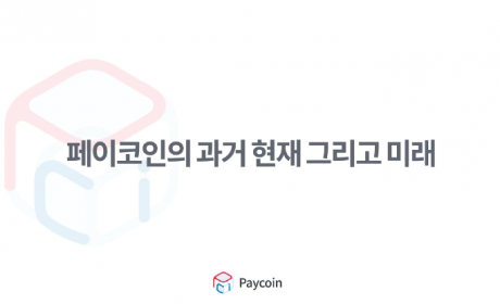 Paycoin–过去，现在以及未来