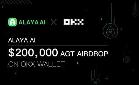 Alaya AI 联合Binance, OKX 钱包等开启百万美金空投活动，助力Web3 AI生态发展